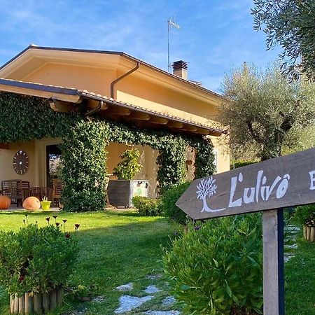 L' Ulivo Bed & Breakfast Teramo Exterior foto