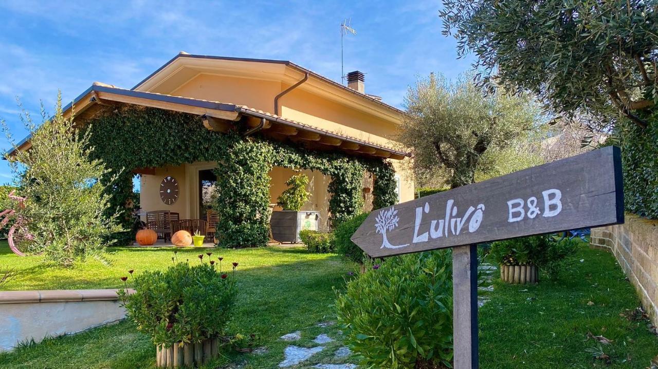 L' Ulivo Bed & Breakfast Teramo Exterior foto